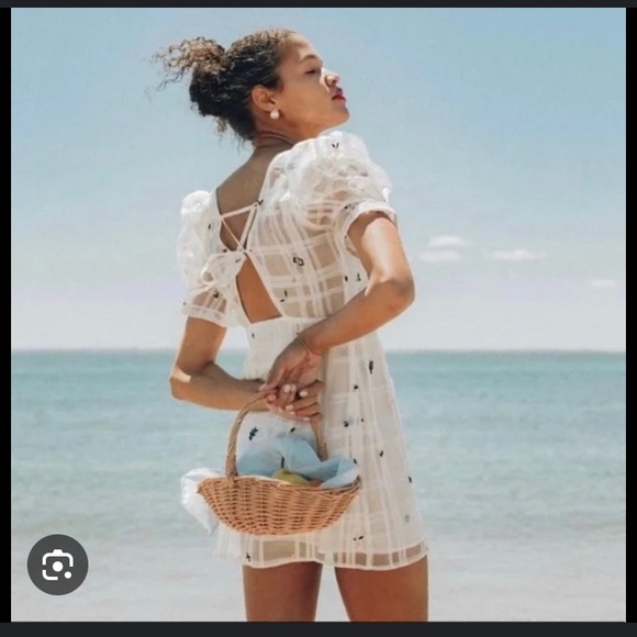 Petite Studio NYC Eleanor Dress - Picture 3 of 9